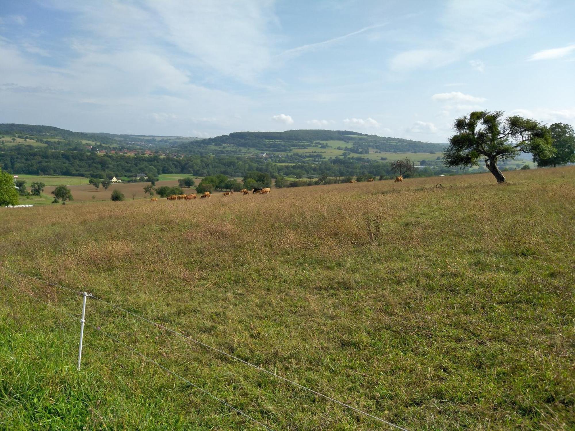 Camping Walsheim Gersheim Esterno foto